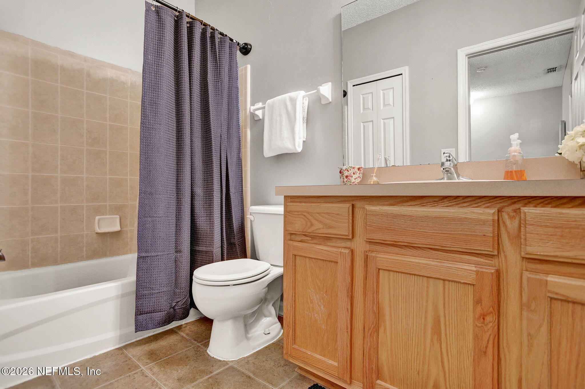 8629 Ribbon Falls Lane Jacksonville, FL 32244 - Photo 25 of 39 a bathroom with a sink a toilet and shower