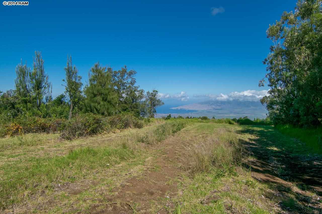 0 Hapapa Road Kula, HI 96790 - Photo 11 of 30 Gallery Image 11