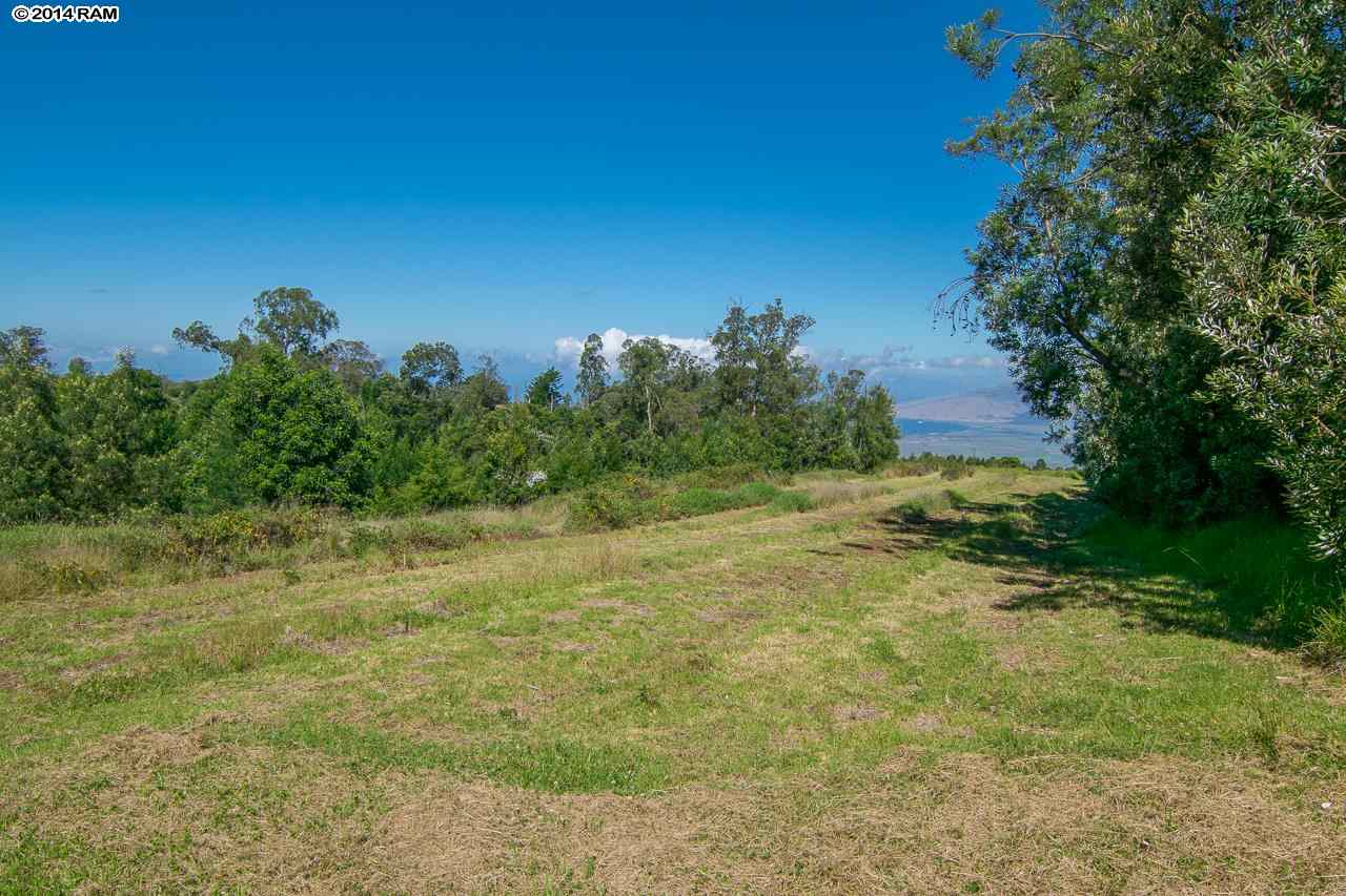 0 Hapapa Road Kula, HI 96790 - Photo 12 of 30 Gallery Image 12