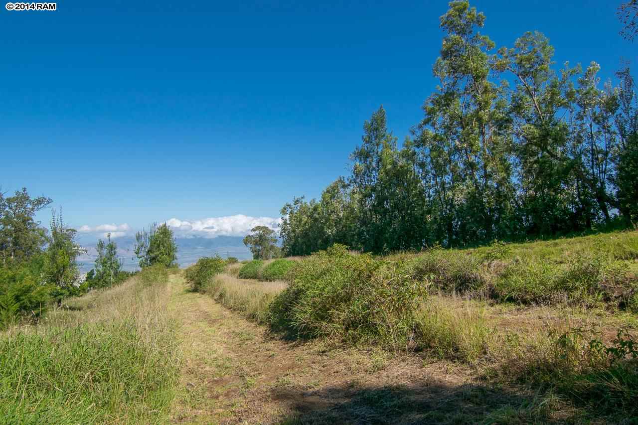 0 Hapapa Road Kula, HI 96790 - Photo 13 of 30 Gallery Image 13
