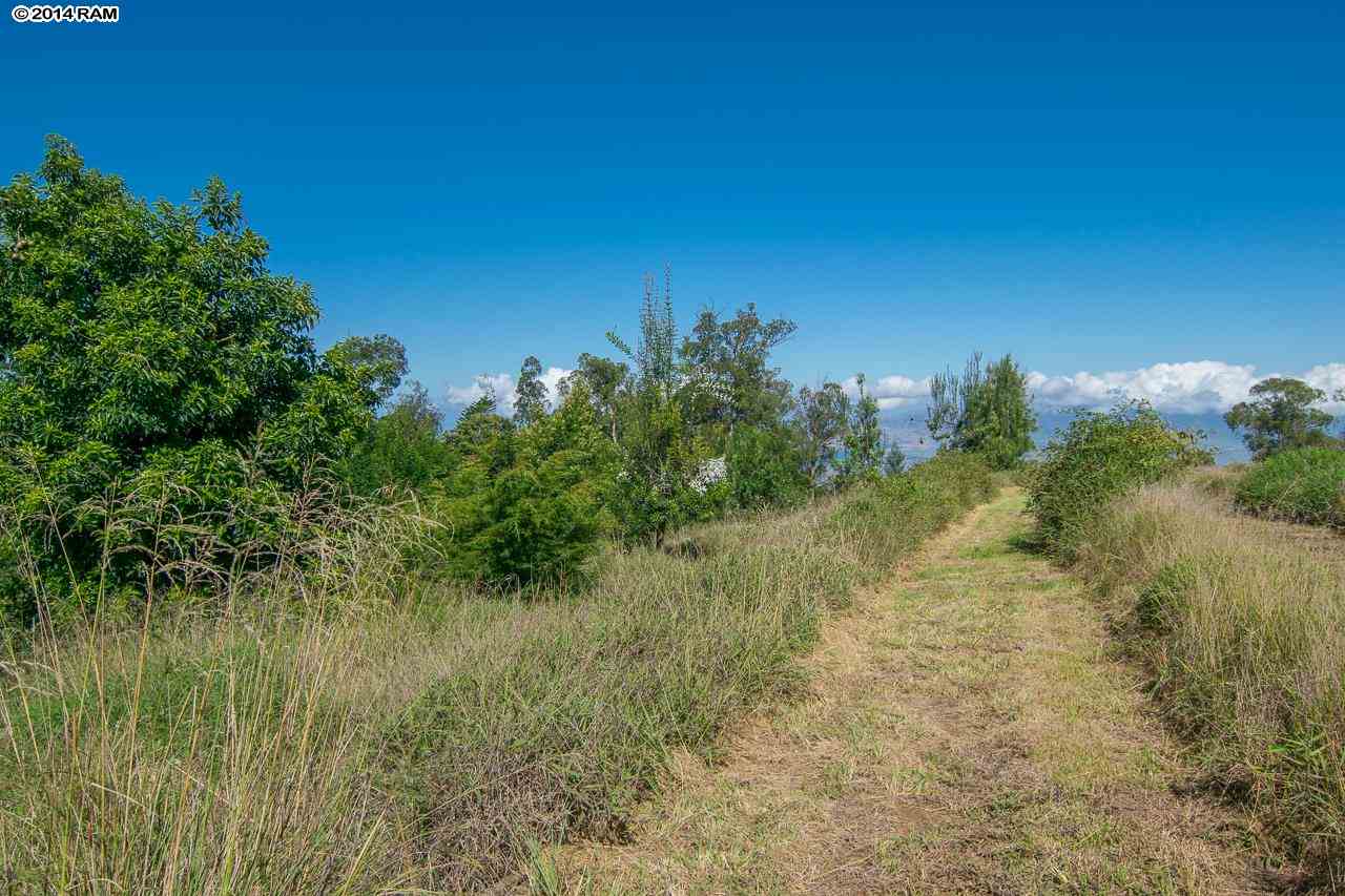 0 Hapapa Road Kula, HI 96790 - Photo 14 of 30 Gallery Image 14