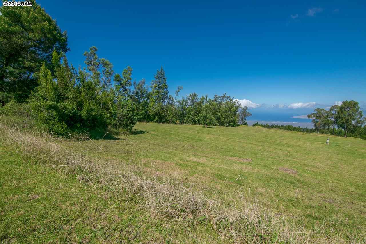 0 Hapapa Road Kula, HI 96790 - Photo 16 of 30 Gallery Image 16