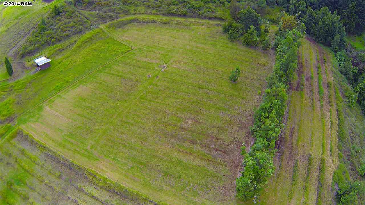 0 Hapapa Road Kula, HI 96790 - Photo 17 of 30 Gallery Image 17