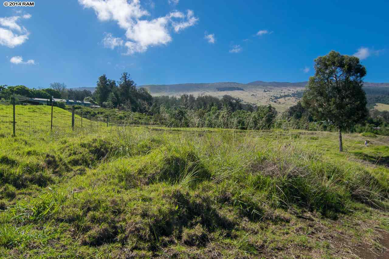 0 Hapapa Road Kula, HI 96790 - Photo 5 of 30 Gallery Image 5