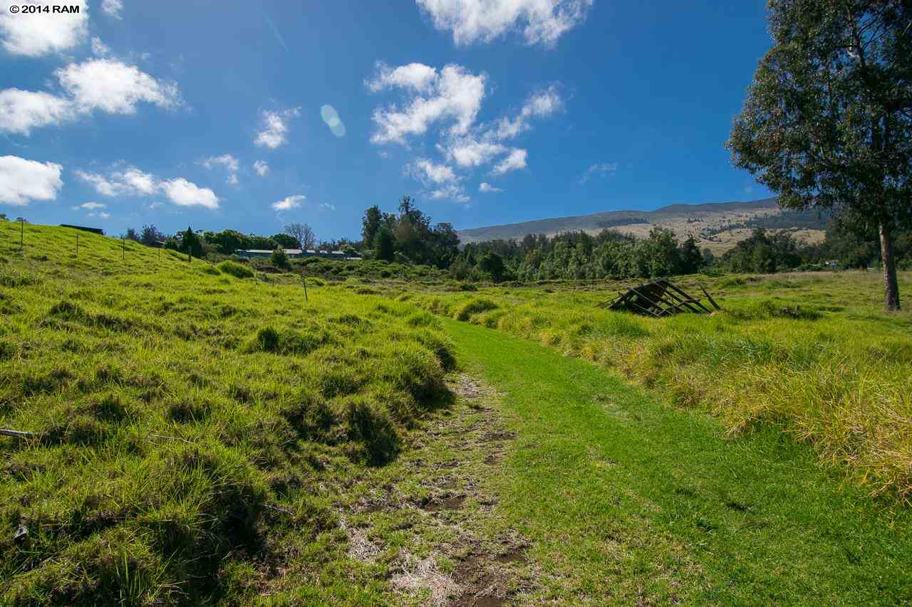 0 Hapapa Road Kula, HI 96790 - Photo 6 of 30 Gallery Image 6