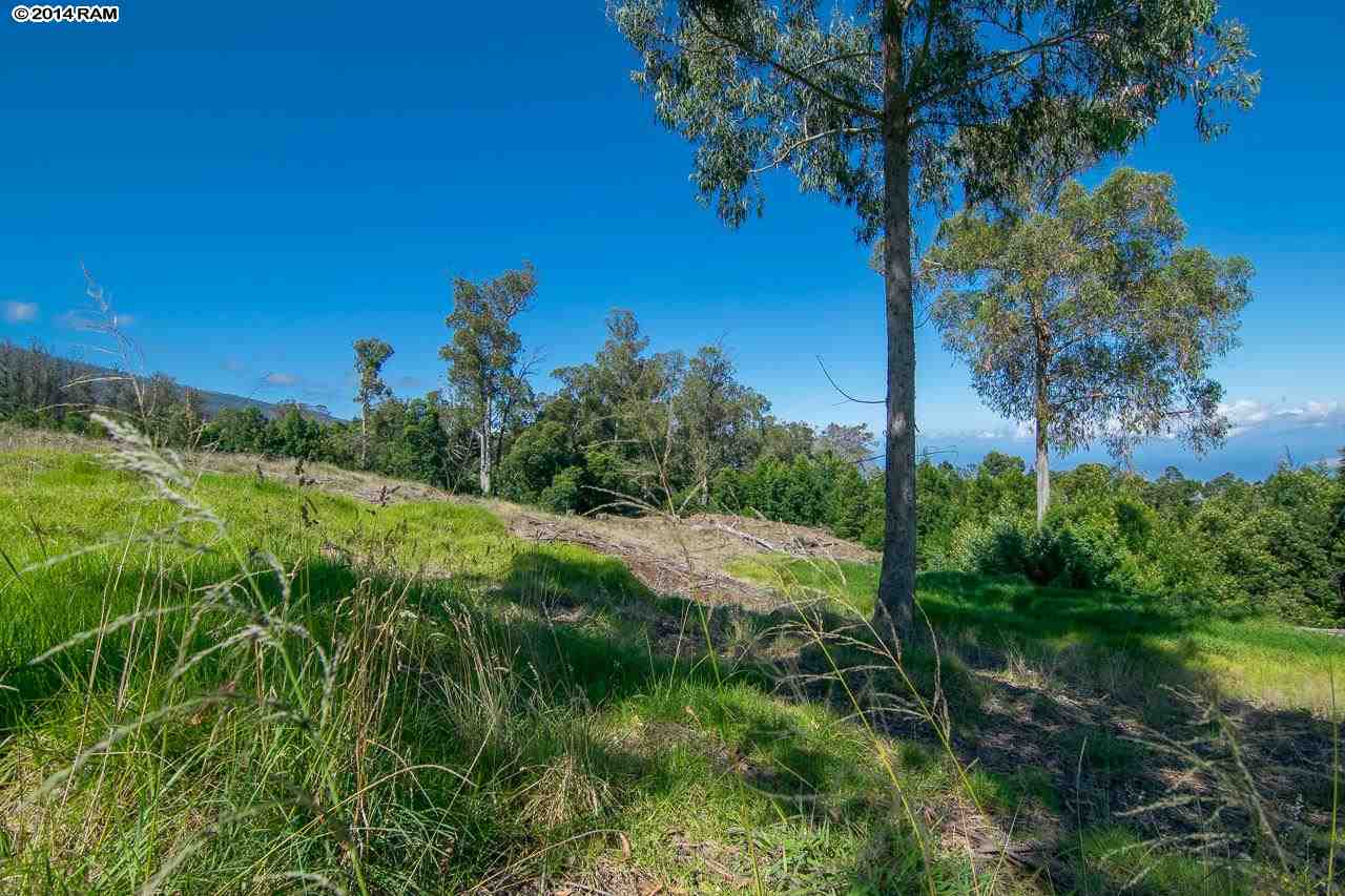0 Hapapa Road Kula, HI 96790 - Photo 7 of 30 Gallery Image 7