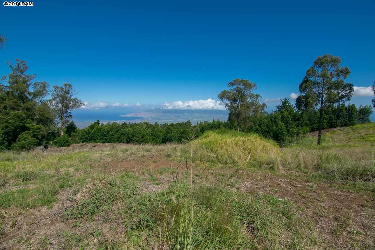 0 Hapapa Road Kula, HI 96790 - Photo 8 of 30 Gallery Image 8