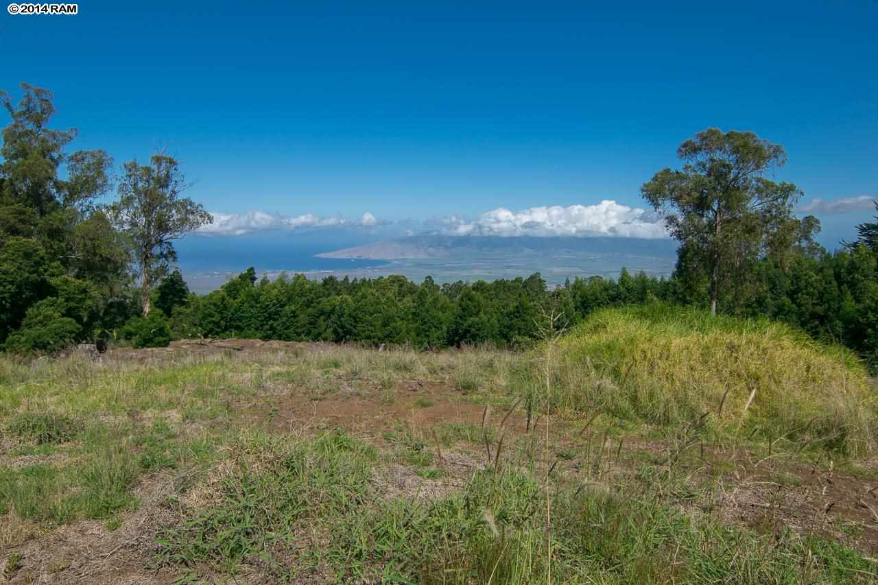 0 Hapapa Road Kula, HI 96790 - Photo 9 of 30 Gallery Image 9
