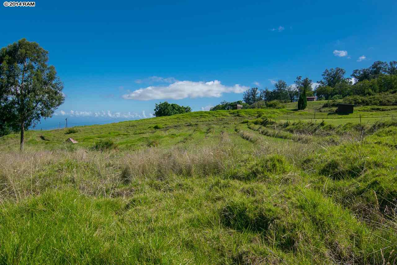 0 Hapapa Road Kula, HI 96790 - Photo 10 of 30 Gallery Image 10