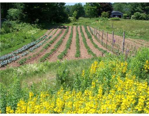 61 Old Waterville Road China, ME 04358 - Photo 3 of 7 Land.