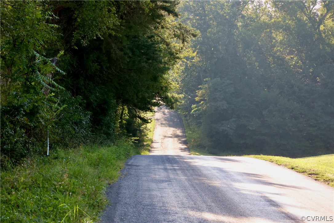 Lot 2 Parsons Road Beaverdam, VA 23015 - Photo 1 of 14 a view of a yard