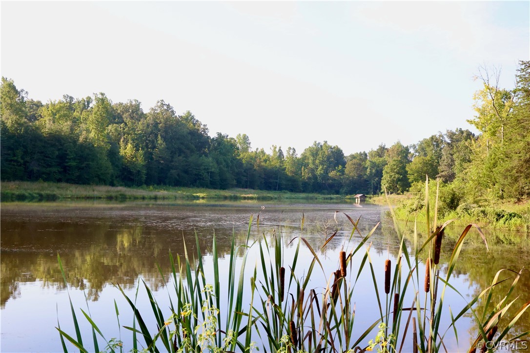 Lot 2 Parsons Road Beaverdam, VA 23015 - Photo 12 of 14 a view of lake with trees
