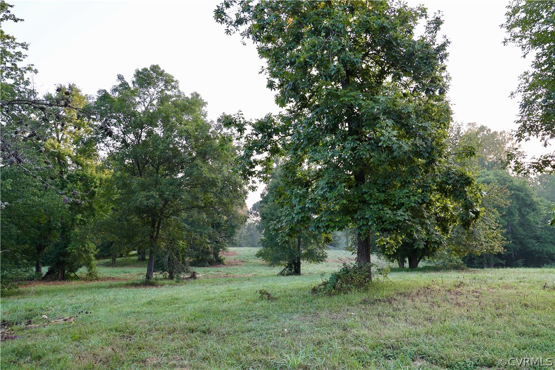 Lot 2 Parsons Road Beaverdam, VA 23015 - Photo 3 of 14 a big yard with lots of green space and deers