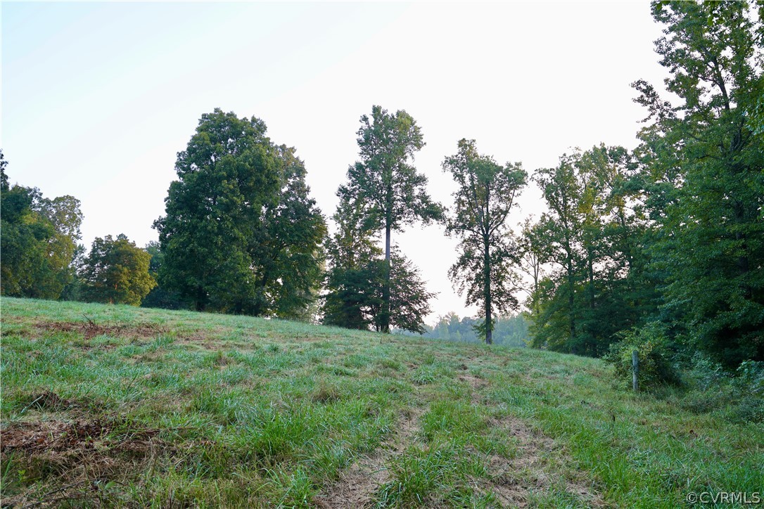 Lot 2 Parsons Road Beaverdam, VA 23015 - Photo 4 of 14 a big yard with lots of green space and deers
