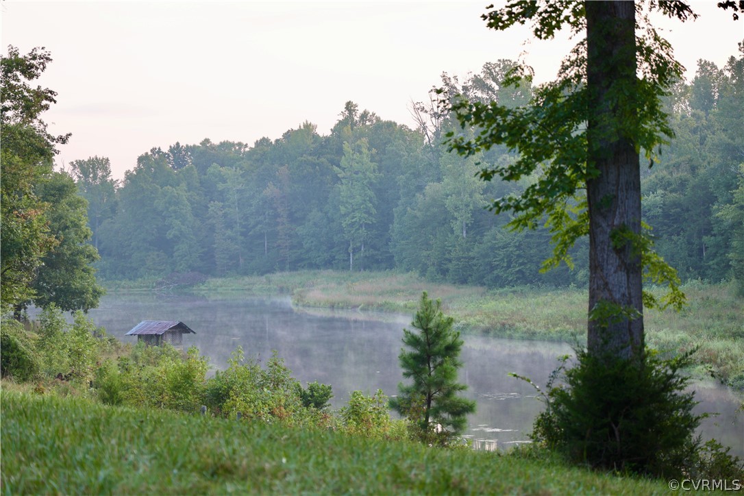 Lot 2 Parsons Road Beaverdam, VA 23015 - Photo 6 of 14 a view of a yard