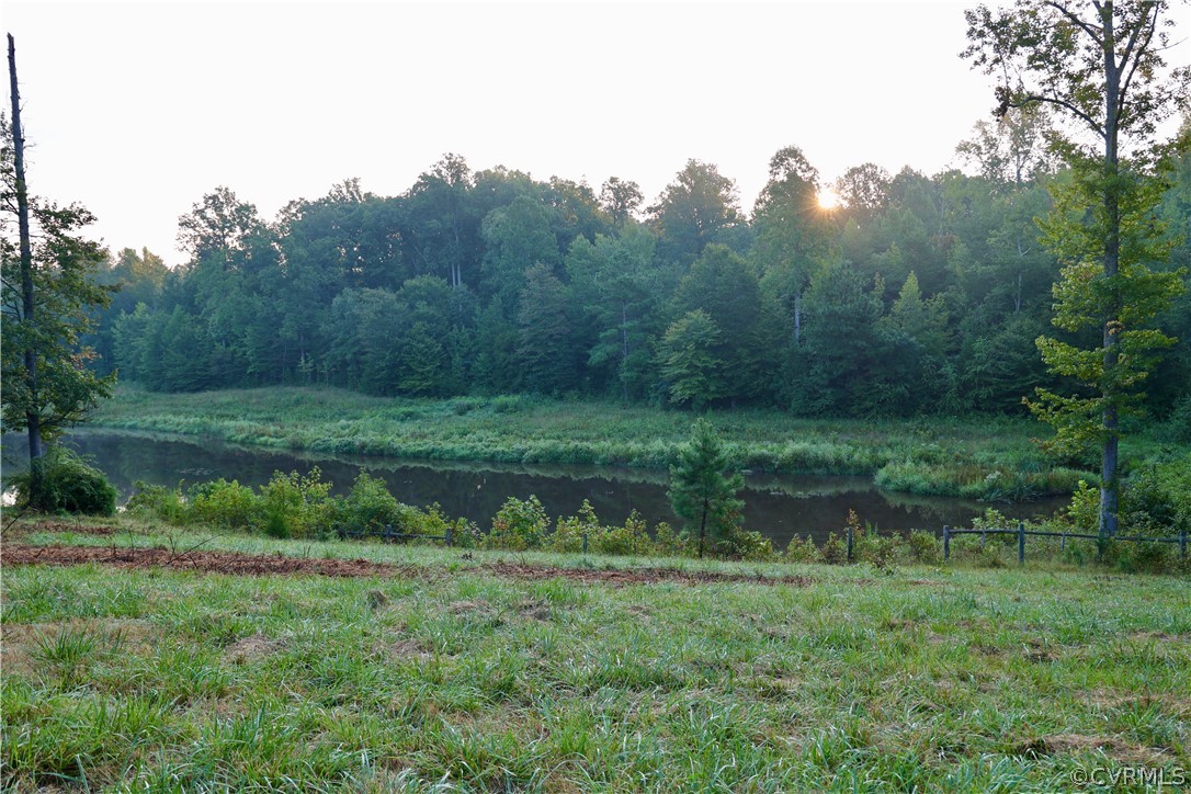 Lot 2 Parsons Road Beaverdam, VA 23015 - Photo 9 of 14 a view of a garden with a lake