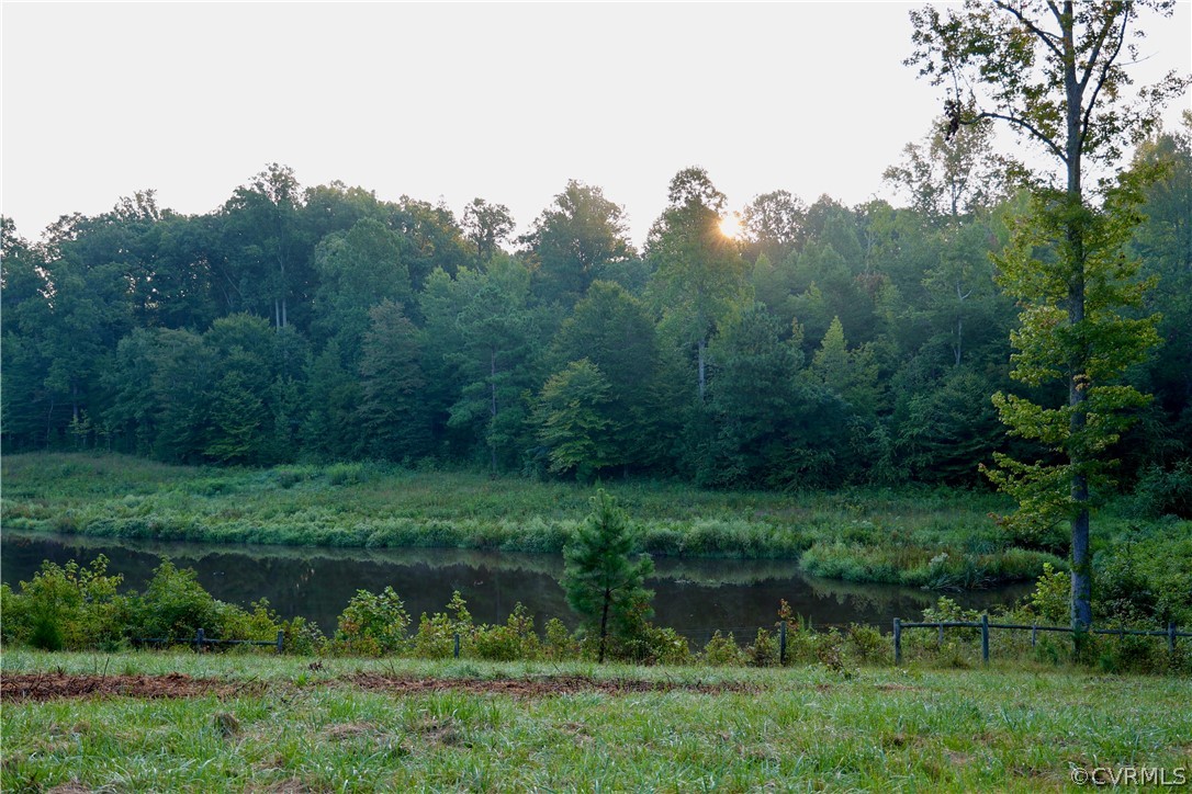 Lot 2 Parsons Road Beaverdam, VA 23015 - Photo 10 of 14 a view of a lake in middle of forest
