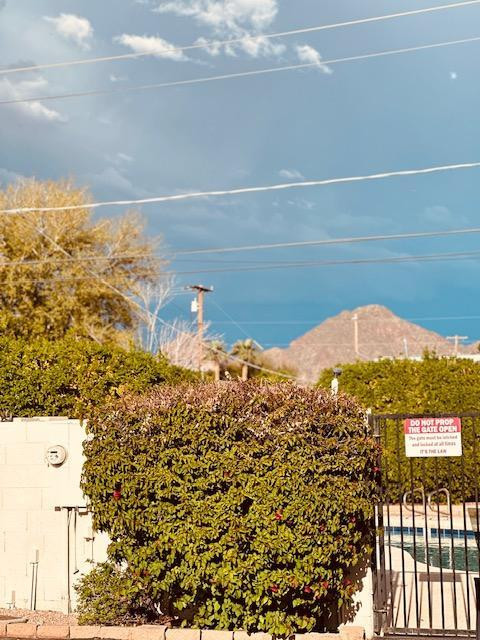 4302 North 29th Way Phoenix, AZ 85016 - Photo 25 of 25