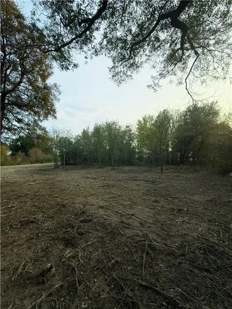 a view of a field with trees in background