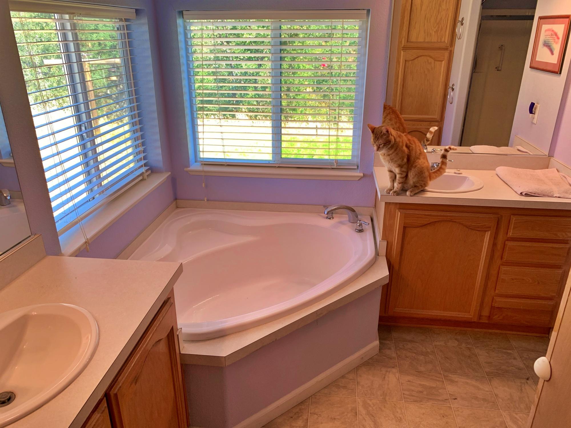 18010 Quail Ridge Road Cottonwood, CA 96022 - Photo 6 of 16 master bath