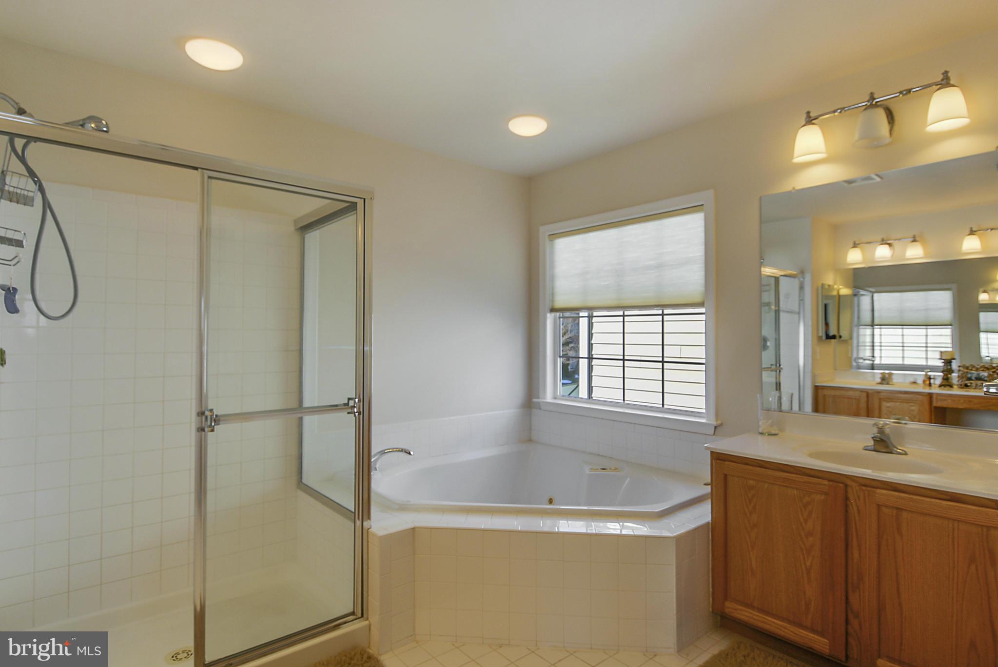 23111 Persimmon Ridge Road Clarksburg, MD 20871 - Photo 24 of 30 Bath (Master)