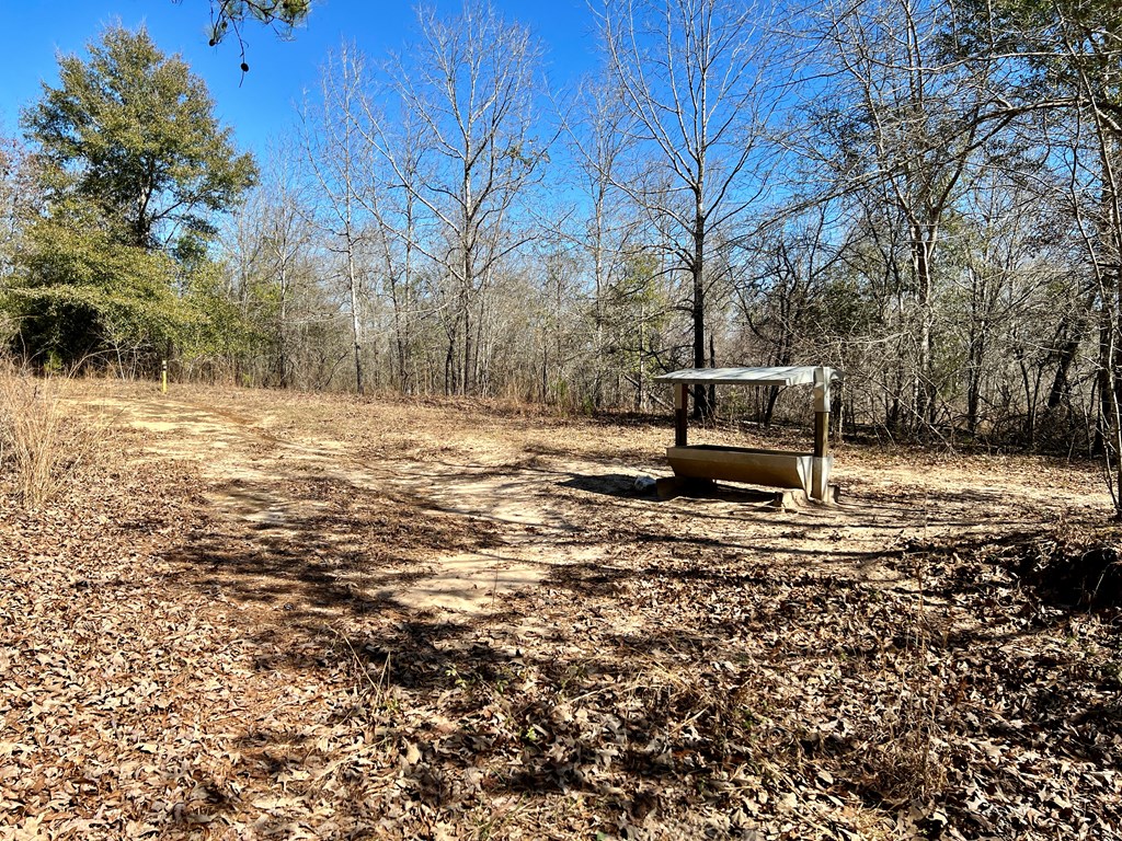 0 County Road 97 Abbeville, AL 36310 - Photo 34 of 53