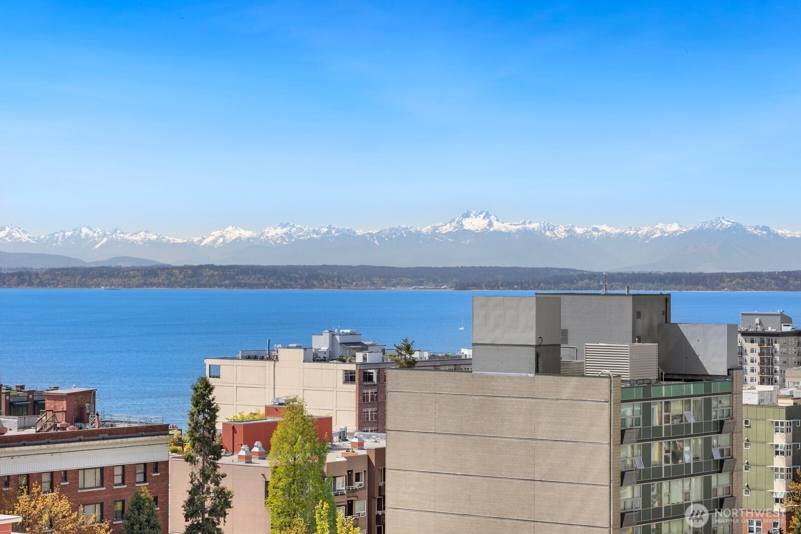 2100 3rd Avenue, Unit 1702 Seattle, WA 98121 - Photo 6 of 36