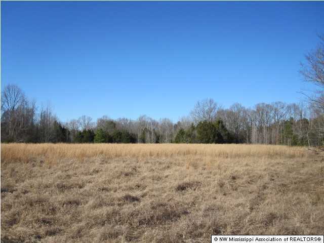 79 Mays Road Coldwater, MS 38618 - Photo 1 of 30 Primary Photo