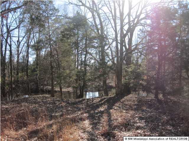 79 Mays Road Coldwater, MS 38618 - Photo 11 of 30 Additional Photo