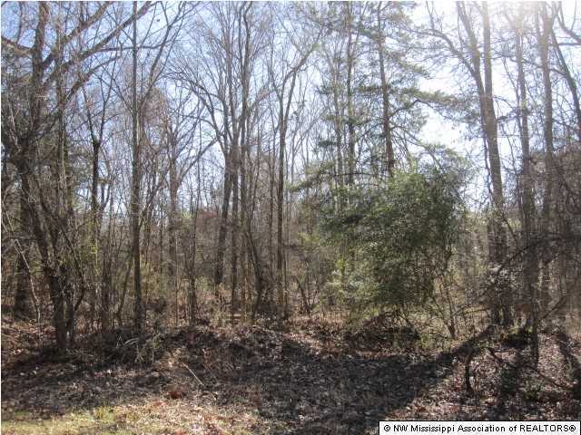 79 Mays Road Coldwater, MS 38618 - Photo 2 of 30 Additional Photo