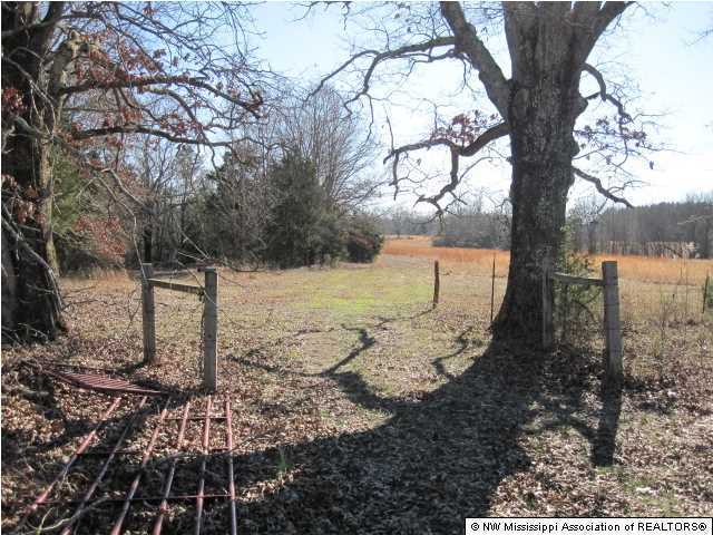 79 Mays Road Coldwater, MS 38618 - Photo 21 of 30 Additional Photo