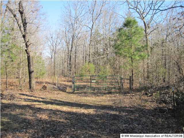 79 Mays Road Coldwater, MS 38618 - Photo 24 of 30 Additional Photo