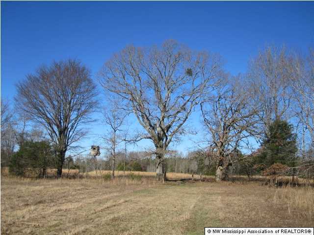 79 Mays Road Coldwater, MS 38618 - Photo 26 of 30 Additional Photo