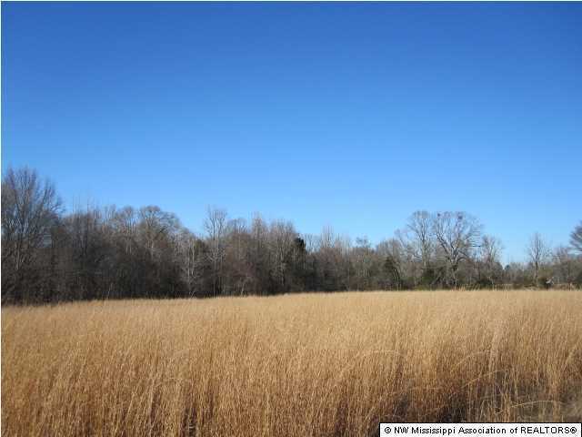 79 Mays Road Coldwater, MS 38618 - Photo 28 of 30 Additional Photo