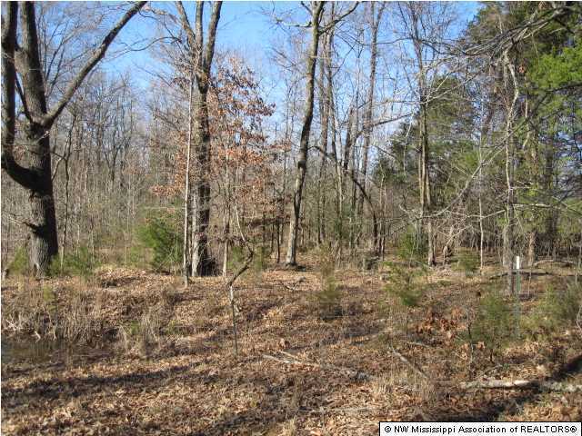 79 Mays Road Coldwater, MS 38618 - Photo 3 of 30 Additional Photo