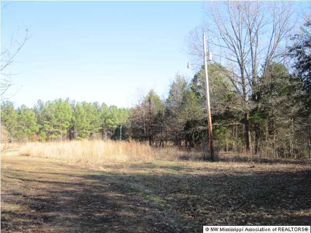 79 Mays Road Coldwater, MS 38618 - Photo 4 of 30 Additional Photo