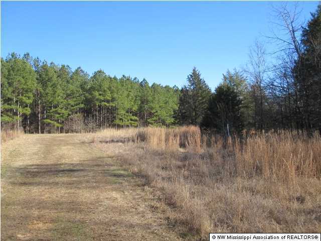 79 Mays Road Coldwater, MS 38618 - Photo 6 of 30 Additional Photo