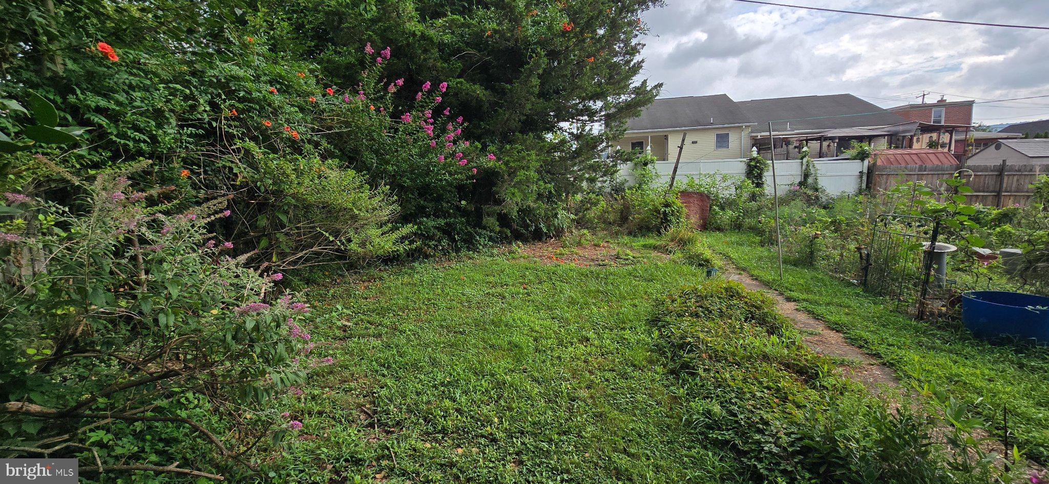 1123 Butler Street Reading, PA 19601 - Photo 12 of 15 Lush garden retreat with vibrant blooms.