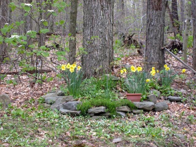 645 Ravnikar Road Forest City, PA 18421 - Photo 14 of 19