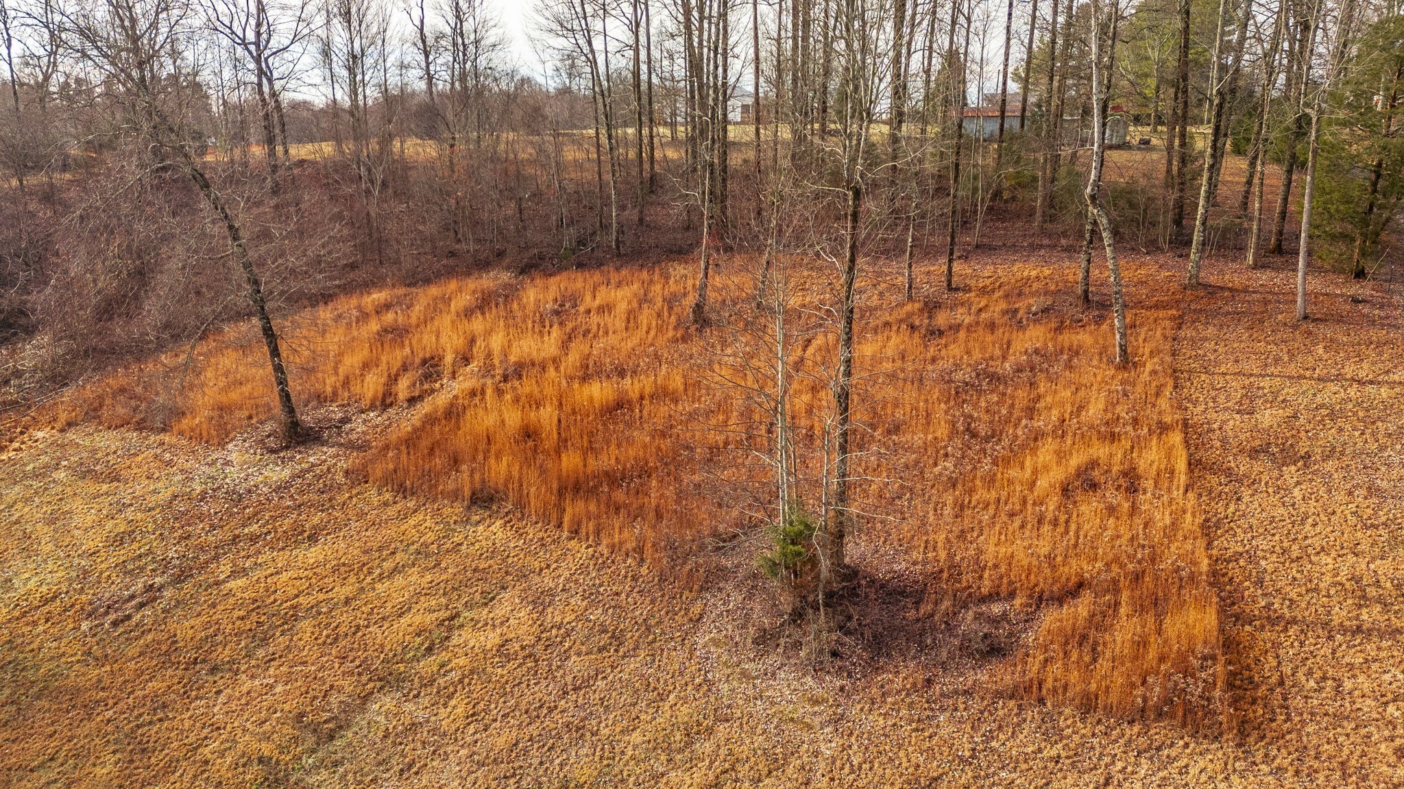15 Raccoon Road Westmoreland, TN 37186 - Photo 43 of 52
