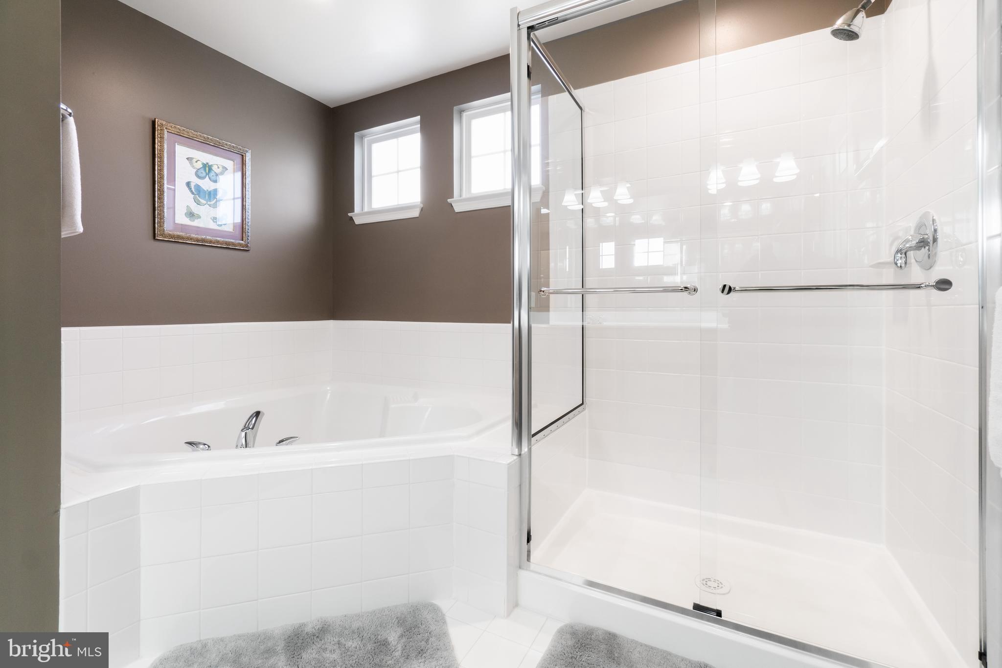 316 Stone Run Drive Rising Sun, MD 21911 - Photo 24 of 39 Primary BR full bath