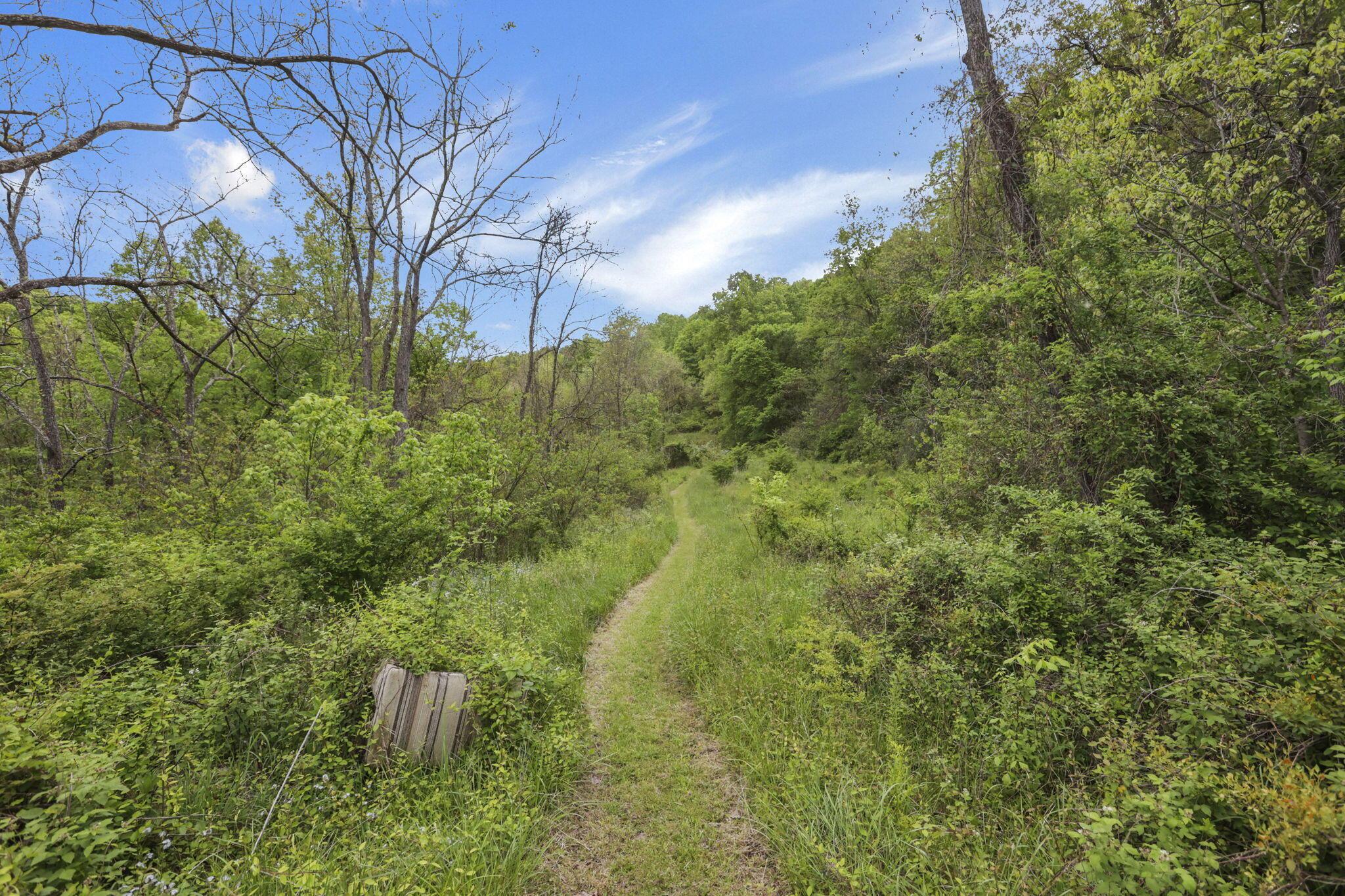 14745 Dutch Creek Road Athens, OH 45701 - Photo 47 of 62 14745 Dutch Creek Road