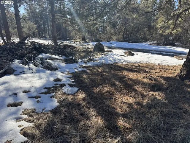 a view of outdoor space with trees