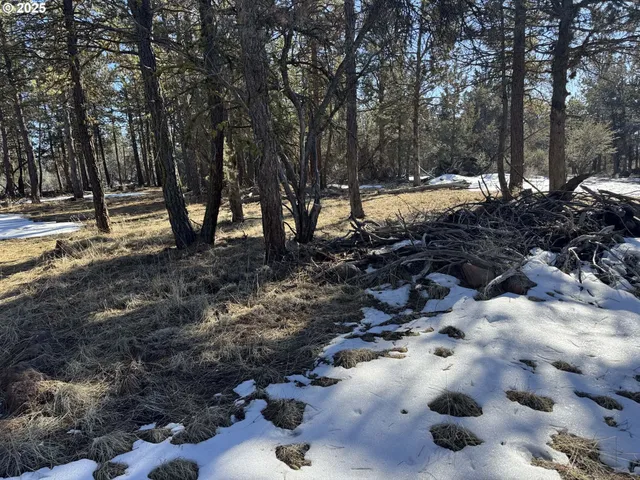 a view of outdoor space with patio and trees
