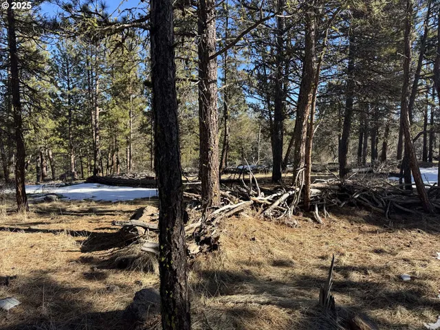 a view of road with trees