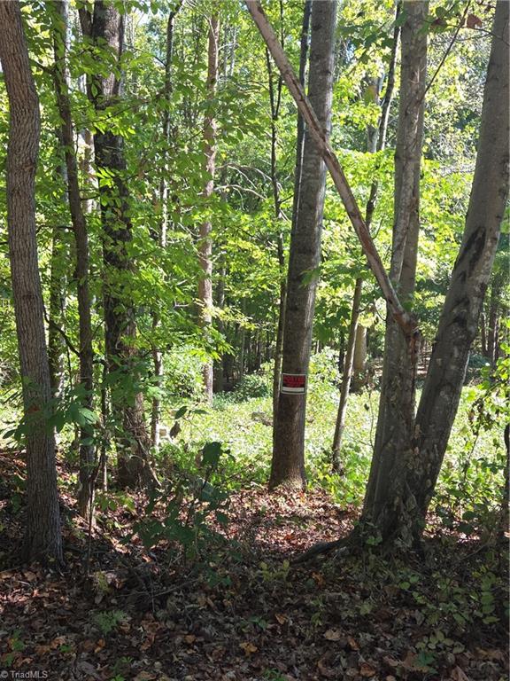 1075 Augusta Hicks Road Walnut Cove, NC 27052 - Photo 4 of 4 Gallery Image 4