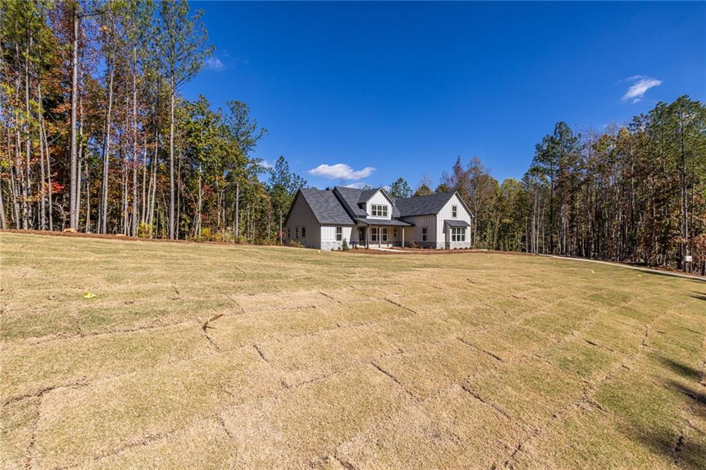 41 Lone Bear Path Dallas, GA 30132 - Photo 6 of 73