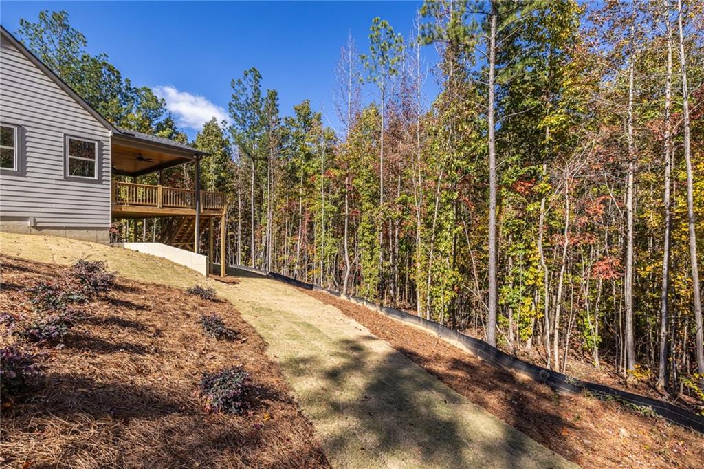 41 Lone Bear Path Dallas, GA 30132 - Photo 65 of 73
