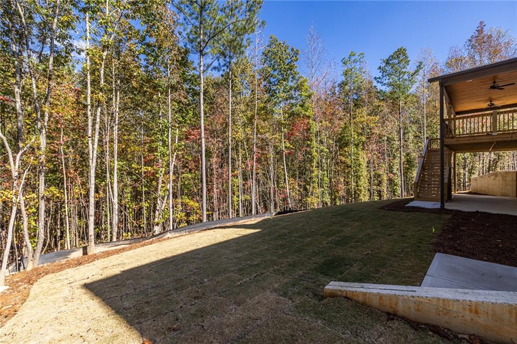 41 Lone Bear Path Dallas, GA 30132 - Photo 66 of 73