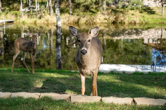 $455,000 | 857 Kings Way, Nekoosa, WI 54457